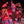 Load image into Gallery viewer, Andru Branch and Halfway Tree - Live at Lightship - June 7, 2025