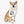 Load image into Gallery viewer, Pet Bandana Collar