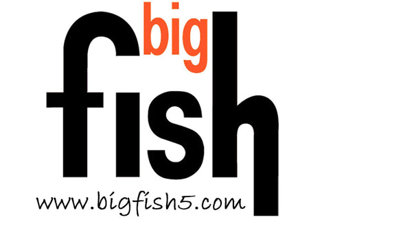 Big Fish - Live at Lightship - June 13, 2025