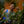 Load image into Gallery viewer, The Harpoonist - Live at Lightship - July 21, 2026
